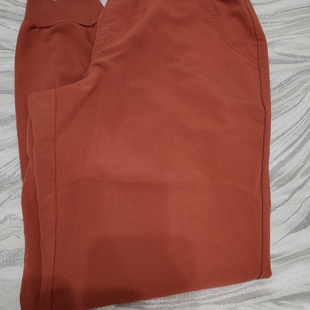 Figs Terracotta Color - Medium Size